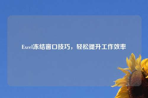 Excel冻结窗口技巧，轻松提升工作效率