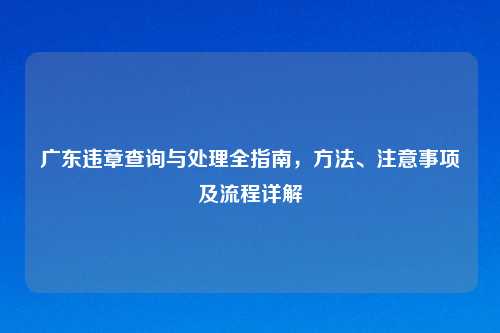 广东违章查询与处理全指南,方法、注意事项及流程详解