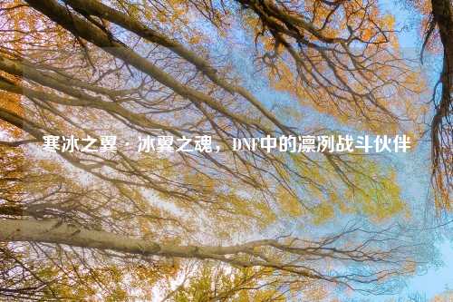 寒冰之翼·冰翼之魂，DNF中的凛冽战斗伙伴