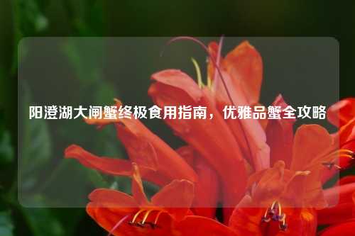阳澄湖大闸蟹终极食用指南，优雅品蟹全攻略