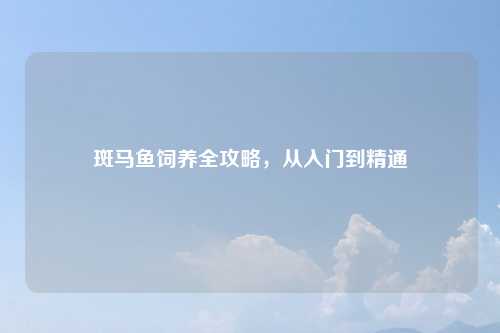 斑马鱼饲养全攻略,从入门到精通