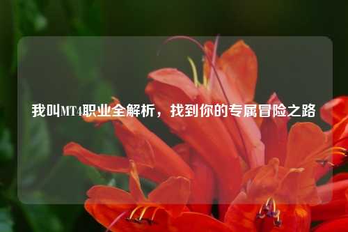 我叫MT4职业全解析,找到你的专属冒险之路