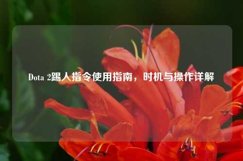 Dota 2踢人指令使用指南,时机与操作详解