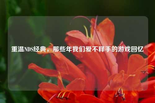 重温NDS经典，那些年我们爱不释手的游戏回忆