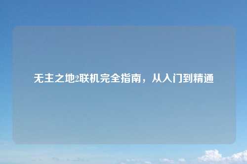 无主之地2联机完全指南,从入门到精通